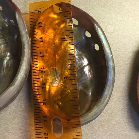 8 Genuine Abalone Shells - Picture 3 of 8